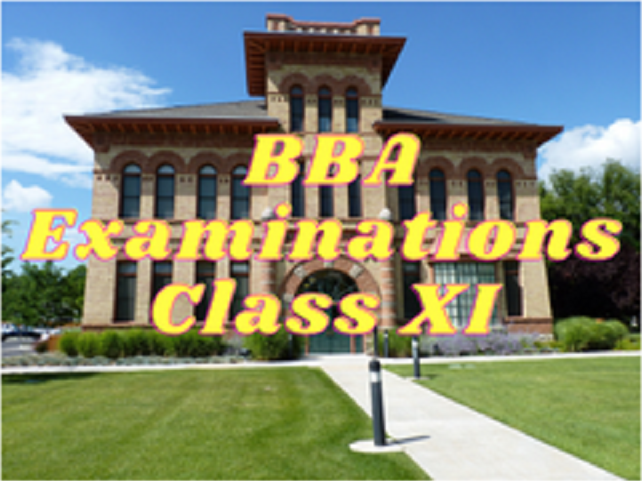 BBA (DI & LR) - Class XI